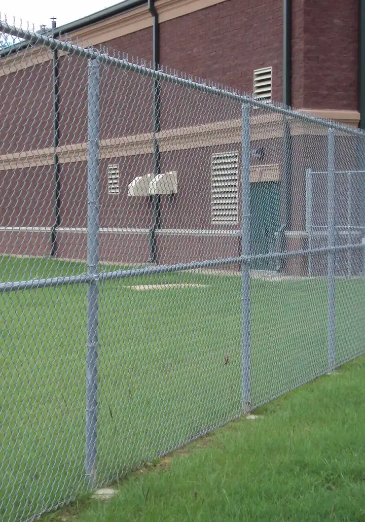 Galvanized chain link